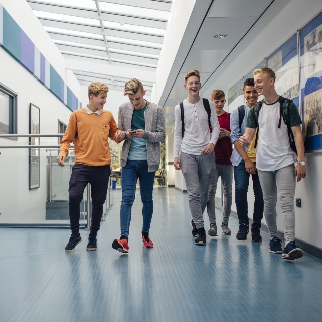 SDS SecureGrants Program for safer schools